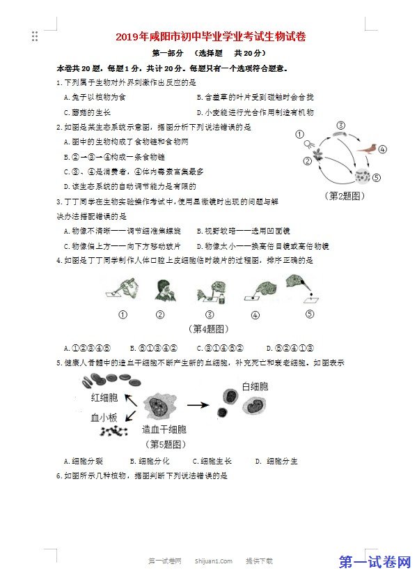 陕西省咸阳市2019年中考生物真题试题